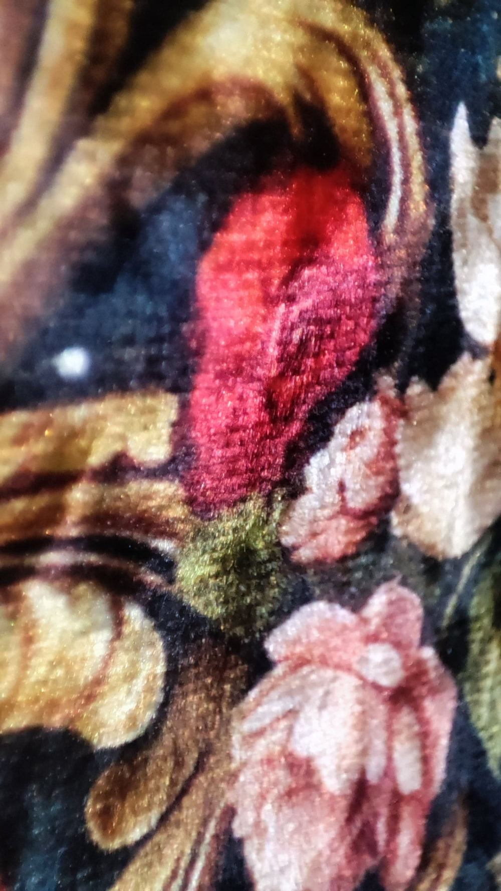 Polo Ice Velvet Colorful